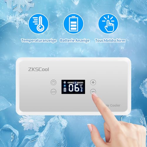 Insulin Kühlbox Elektrisch, Kühlbox 2-8°C Tragbar mit LCD-Temperaturanzeige und 13600mAh Batterie (mit Griff), für Auto, Reisen und Außenbereich (Grau)