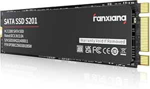 fanxiang M.2 SATA SSD 256GB 2280 Interne Festplatte mit SLC Cache, Hochgeschwindigkeits M2 SSD, Lesen bis 550 MB/s, Schreiben bis 460 MB/s, ideal für Laptop- und Ultrabook-Upgrades