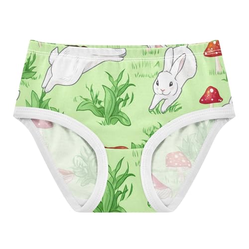 Lawn Rabbit Green Little Girl Panties Toddler Girls Underwear Cotton Stylish Kids Undies Briefs 2t