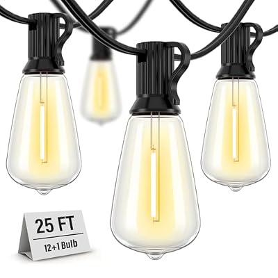 Doukedge Outdoor String Lights Waterproof, 25 Feet Patio Lights with 13 ST38 Edison Bulbs(1 Sqare), Outside Hanging Decorative Lights for Porch, Blacony, Backyard, Bistro, Garden, 2700K