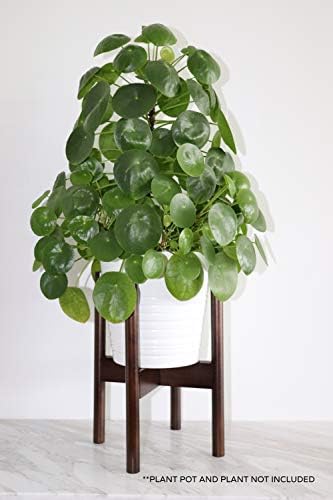 Crazy Plant Guy - Adjustable Midcentury Plant Stand (Walnut)