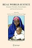 Real World Justice: Grounds, Principles, Human Rights, and Social Institutions (Studies in Global Justice, 1, Band 1)