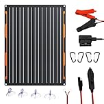 FlexSolar 20W 12V Solar Panel Battery Charger Maintainer Kits Trickle Charger with Built-in Charge Controller, Cig Plug, Alligator Clips, O-Rings OBDII Connector for Car, Truck,Tractor, Boat