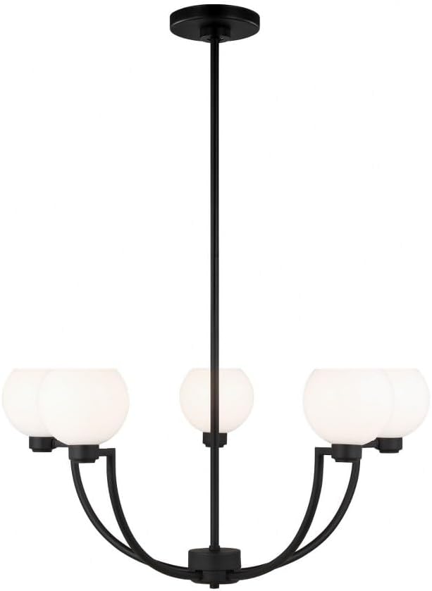 https://m.media-amazon.com/images/I/41vCitnhpEL._AC_SL1000_.jpg
