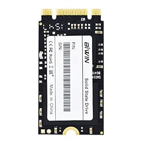 BiWIN 256GB M.2 NGFF Solid State Drive SSD 22 * 42mm SATAIII Speicher NAND Speicher für Laptops und Mini PC [BIWIN-256GB]