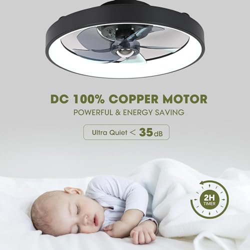 Ventilateur de plafond LED silencieux a intensite variable LANMOU