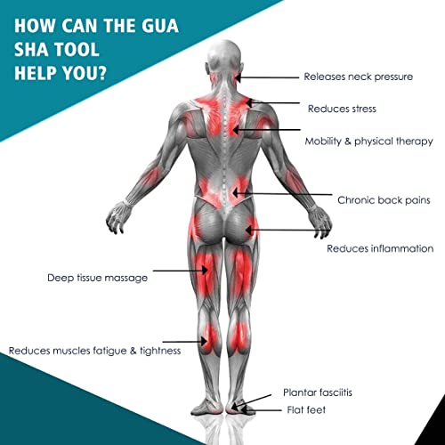 Allshow Bian Stone Gua Sha Tools-Massage Scraping Tool For Soft Tissue Mobilization, Physical Therapy For Back, Legs, Arms #TOP3