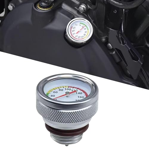 FOR Eliminator G~l[^[ Eliminator SE G~l[^[se 400 450 500 SE E400 E450 E500 2023-2024 CꂽgȖvGWvICxQ[WʂȃANZT[ ()