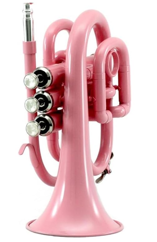SKY Brass Bb Pocket Trumpet with Case, Cloth, Gloves, and Valve Oil, (Pink)
