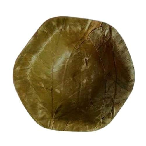 Yashvin Disposable Dona Pattal Sal Leaf Bowls/Degradable for Food offering to God Pack of 100 Pieces (Brown)