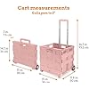 Amazon.com: Inspired Living Ultra-Slim Rolling Collapsible Storage Pack ...