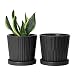 Greenaholics Medium Plant Pots - 6 Inch Black Cylinder Ceramic Planters with Attached Saucers, Two Line Grain, Great House and Office Decor, Set of 2