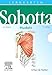 Produktbild Sobotta Lernkarten Muskeln: Muskeln