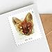 Red Fox 2023 40-Cent (2 Sheets of 20) Definitive Denominated Mail-Use Additional Postage Stamps