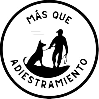 Más que Adiestramiento | Álvaro López Audiolibro Por Álvaro López arte de portada