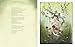 The Poet and the Bees: A Story of the Seasons Sylvia Plath Kept Bees