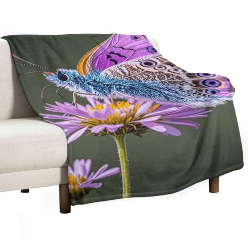 Couverture flanelle papillon violet 100x150 cm plaid canapé doux - 2
