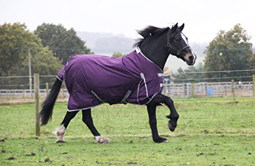 No Fill Turnout Horse Rugs Horse Turnout Rug 0g Fill 600d Lightweight No Fill Turnout Horse Rugs | 0g Quilted Filling | Standard Full Neck Horse Rain Sheet (6'0'') - Image 4