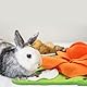 LuckyOpt Kaninchen Futter Matte, Anti-Rutsch Kaninchen Snuffle Matte mit hängendem Seil, Bunte Bunny Snuffle Pad für Chinchillas Welpen Meerschweinchen Schnuffle Training (Mehrfarbig, M)