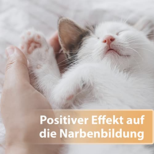 Felisept Wundgel für Katzen 20ml - Wundsalbe für Katzen zur Reinigung und Pflege von Wundbereichen - Wundpflege Katze - Wundschutz Katze für bessere Regeneration