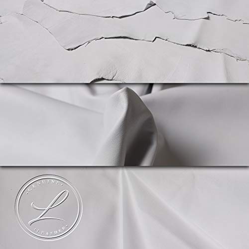 Laverapelle Men's Genuine Lambskin Leather Jacket (Black, Biker Jacket) - 15015353