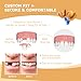 Partial Dentures - Dentures for Missing Teeth & Gaps - Lightweight & Unbreakable Replacement Teeth for Men & Women (2 Teeth)