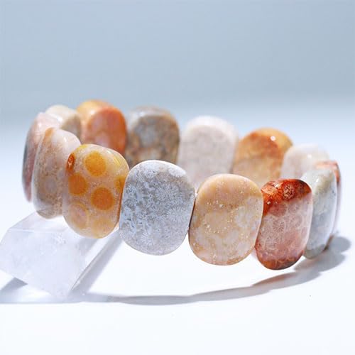 킢 tHbVR[ oO uXbg ΎX Fossil coralk VR p[Xg[ ANZT[ l