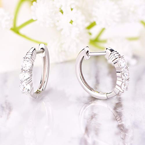 YL Orecchini a cerchio per donna con zirconi