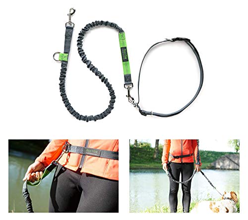 Mighty Paw Hands Free Dog Leash | Premium Runners Pet Lead And Adjustable Hip Belt. Lightweight Reflective Bungee System For Training, Walking, Jogging, Hiking And Running. (Grey, 36 Inch) #TOP3