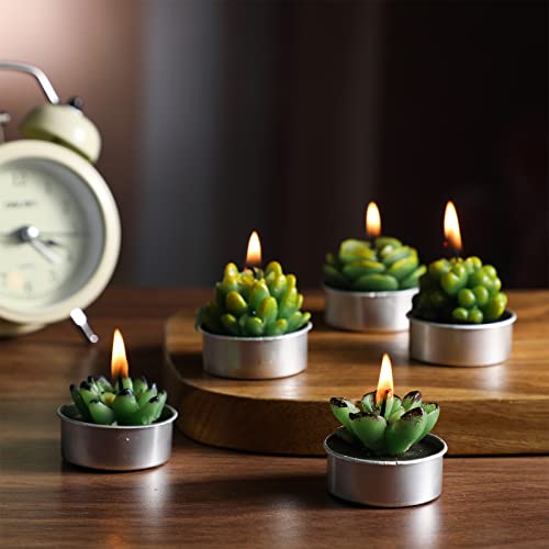Treela 18 Pcs Succulent Cactus Tealight Candles 18 Pcs Terracotta Clay Candle Holders 20 Pink Paper Gift Tags 20 White Sheer Organza Bags For Birthday Christmas Wedding Party Home Decoration #TOP2