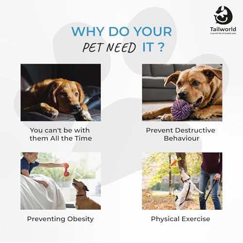 Tailworld Pet Chew Toys, Multicolor, Pack of 5 - Image 3