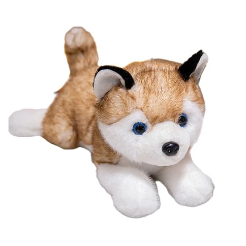 ʂ nXL[   ӂӂ 傫  NbV ˂ނ˂ Gǂ n uE _炩 YQ C ObY 40cm Q 蕨NX}X v[g