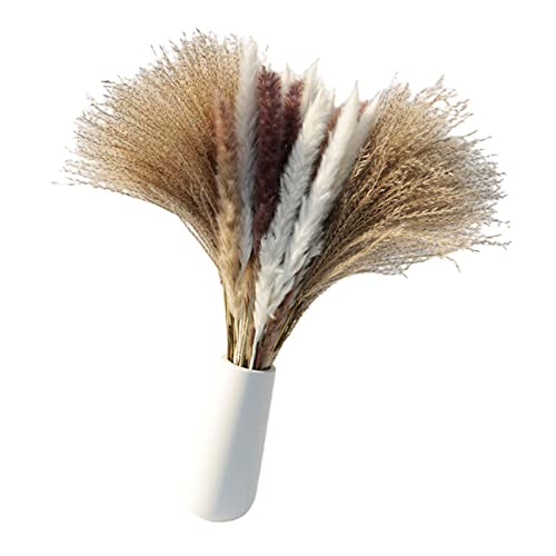 Pampas Grass Brown, Buquê de grama de pampas naturais - arranjos de flores secas inclui grama marrom