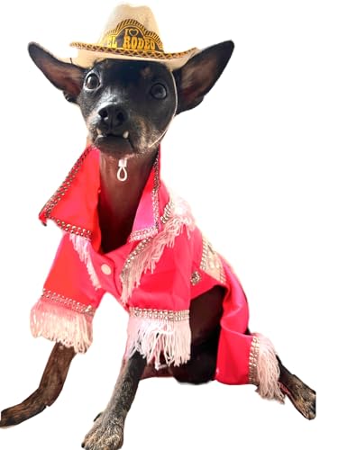 Disfraz de vaquera para perro X-Small