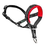 Dog Head Halter with Reflective Safety Strap Stop Dog's Pulling, Dog Head Collar for Small Medium Large Dogs(L,Red)