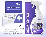 Vetasan 2X Giardien Schnelltest für Hund & Katze I Professioneller Giardientest zuverlässig & schnell I 98,3% Genauigkeit I Giardien Test, Giardia Test