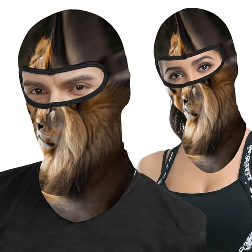 Máscara de esquí Two Lions para hombre, balaclava facial completa, transpirable, suave, resistente al viento, para bicicleta, conducción y montañismo miniatura 1