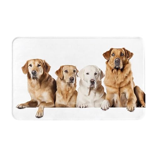 Pomeranians Pattern Print Living Room Bathroom Kitchen Anti Slip and Absorbent Carpet, Indoor Entrance Door Muddy Floor Mat, Ultra Soft Washable Carpet 21x31.5 Inches