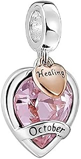 AMATOLOVE Jan-Dec Birthstone Charms for Bracelets Happy Birthday Bead Charm Gifts for Women Girls,Brilliant Round Heart Shape CZ for Choice