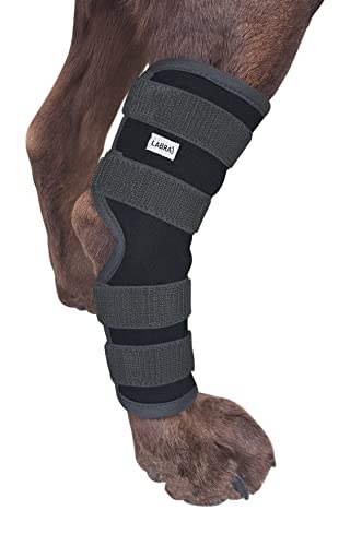 Labra Dog Rear Leg Hock Joint Compression Wrap - Supportive Brace for Weak Back Legs, ACL Tear, and...