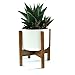Fox & Fern Mid-Century Modern Mini Plant Stand - Acacia - Including 3.5" White Ceramic Planter Pot