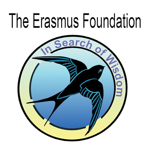 Visualisations from The Erasmus Foundation cover art