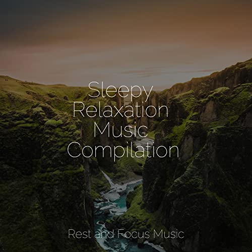 Sleepy Relaxation Music Compilation by Sleep Songs 101, Music For