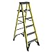 Werner 6 Ft. Type Iaa Fiberglass Step Ladder