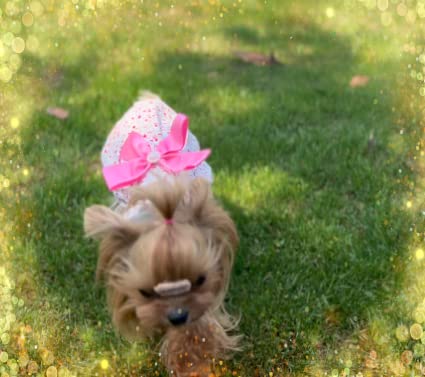 Msnfoasm 2-Pack Floral Pet Dog Dress,Pet Vest Shirt, Cutie Doggie Dresses,Pet Cats Apparel With Bowknot,Pink & Blue,Large #TOP4