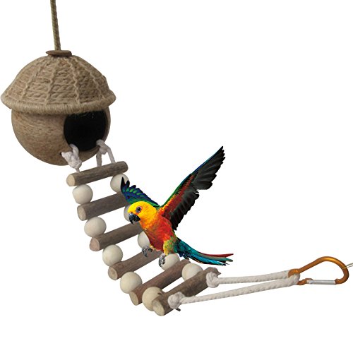 Yunt naturales Nido de Pájaro Coco Balancín Ladder Dormir Espacio para hámster loros Ninfa loros agapornis