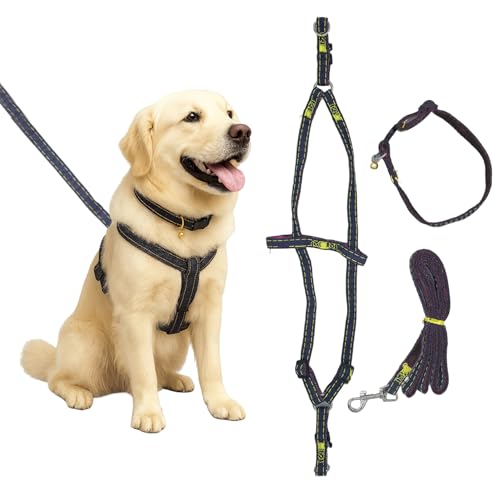 41vDXBzRnmL Adopet No Pull Dog Harness with Front Clip & Leash Set...