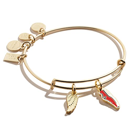 Alex and Ani Collaborations Expandable Bangle for Women, Team USA Duo Charms, Shiny Finish, 2 to 3.5 in