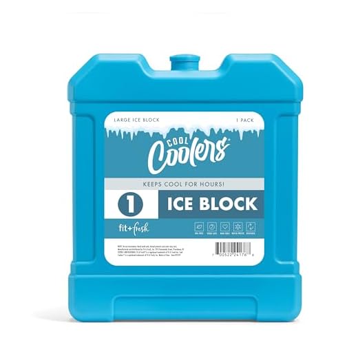 Cool Coolers by Fit + Fresh, XL Freezer Ice Block, Large and Powerful Ice Pack, Perfect for Insulated Cooler, Beach Bag, Backpack Cooler & More, 1PK, Blue