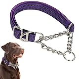Martingale Collar for Dogs, Reflective Nylon Dog Chain Collars Adjustable Heavy Duty Martingale Collar for Training Medium Large Breed Dogs